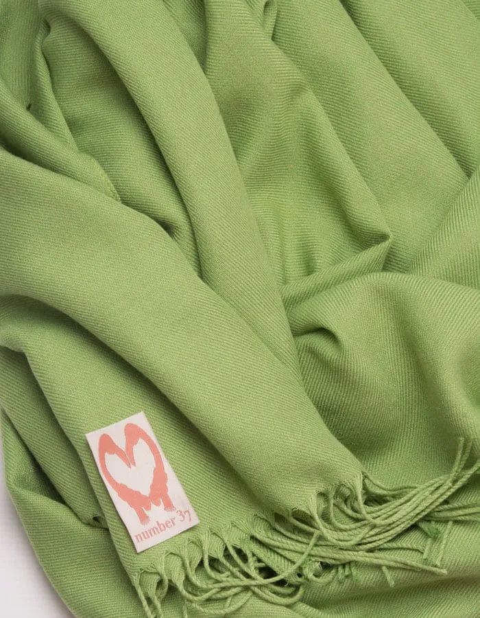 Pistachio Green Pashmina